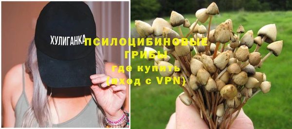 бутик Снежногорск